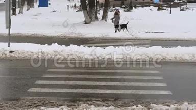 那个女孩在红绿灯处用一只狗指针穿过马路。
